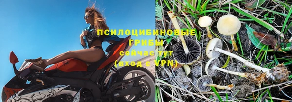 МДПВ Белоозёрский